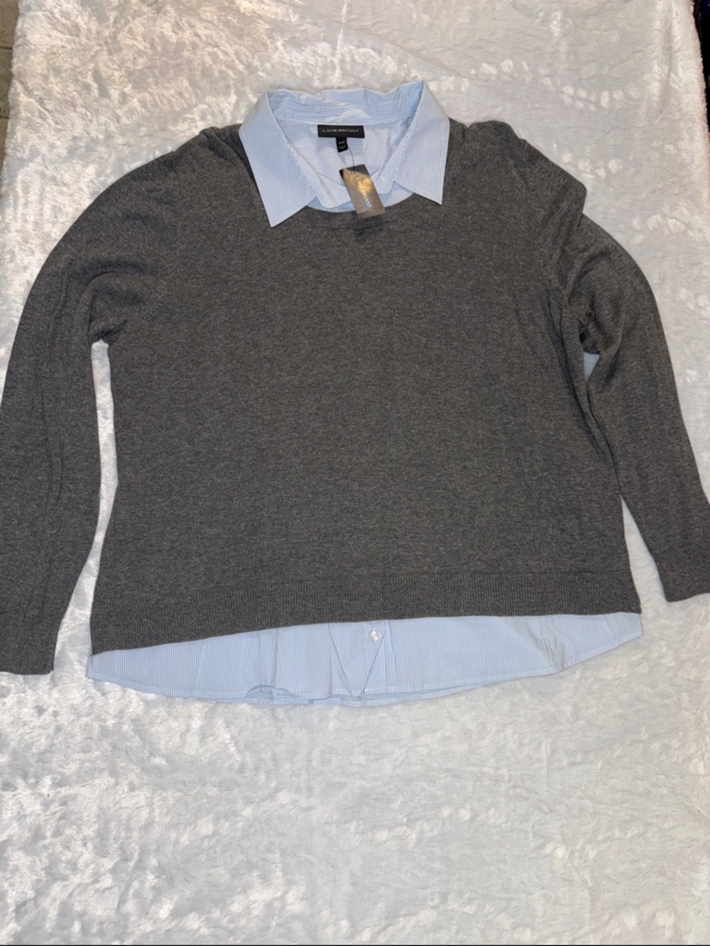 Lane Bryant Gray Crewneck Sweater with Light Blue Shirt-Trim